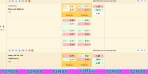 Chinh phục kèo đấu tại thể thao TIM88 để nhận thưởng lớn