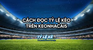 Cách đọc tỷ lệ kèo trên keonhacai5 chi tiết và dễ hiểu nhất